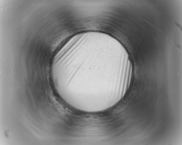 X0000102220434200808151709