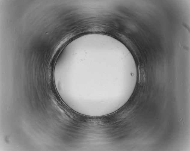 X0000102220435200808151709