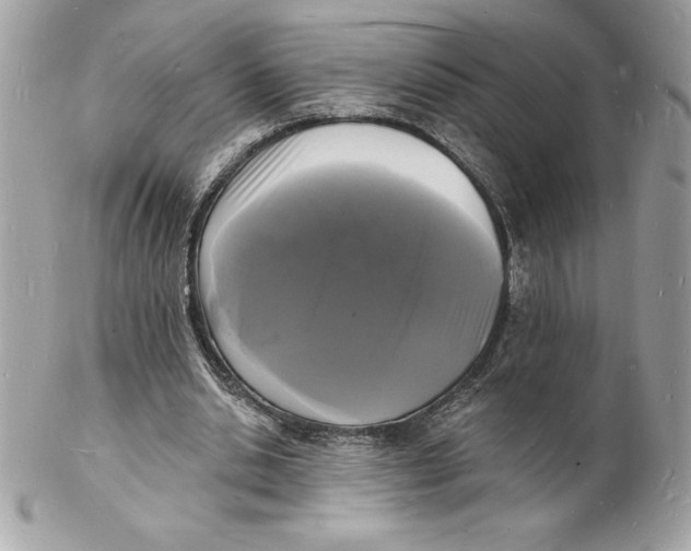 X0000102220438200808151709