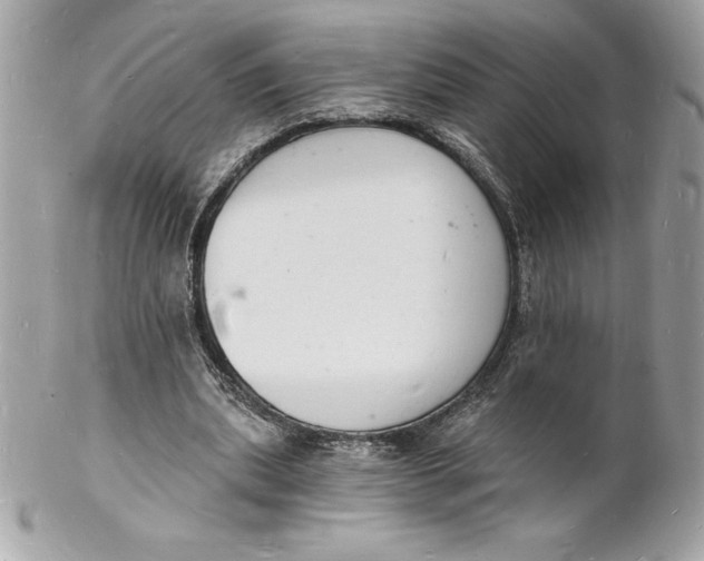 X0000102220439200808151709