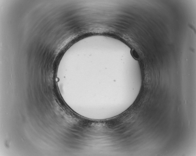 X0000102220440200808151709