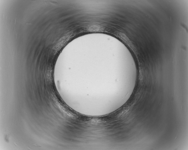 X0000102220441200808151709