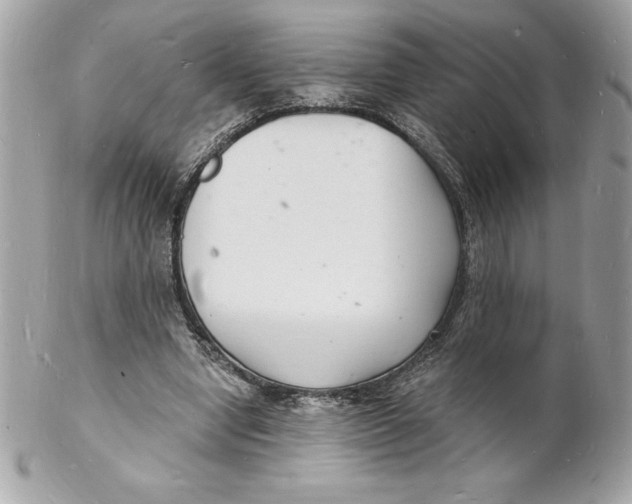 X0000102220442200808151709