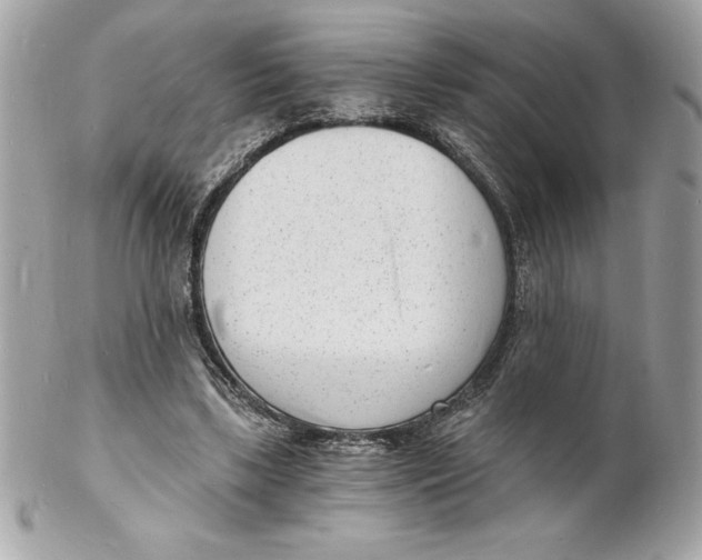 X0000102220443200808151709