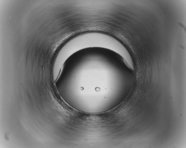 X0000102220444200808151709