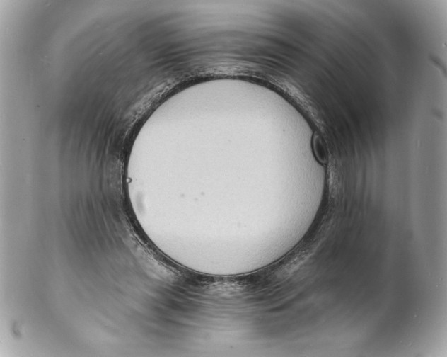 X0000102220445200808151709