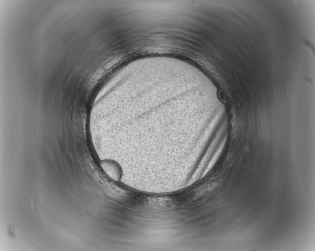 X0000102220446200808151709