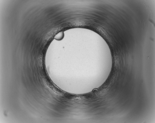 X0000102220447200808151709