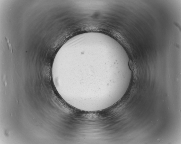 X0000102220449200808151709