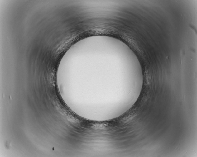 X0000102220450200808151709