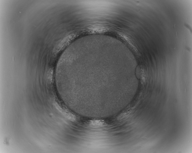 X0000102220451200808151709