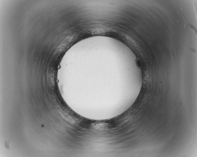 X0000102220452200808151709