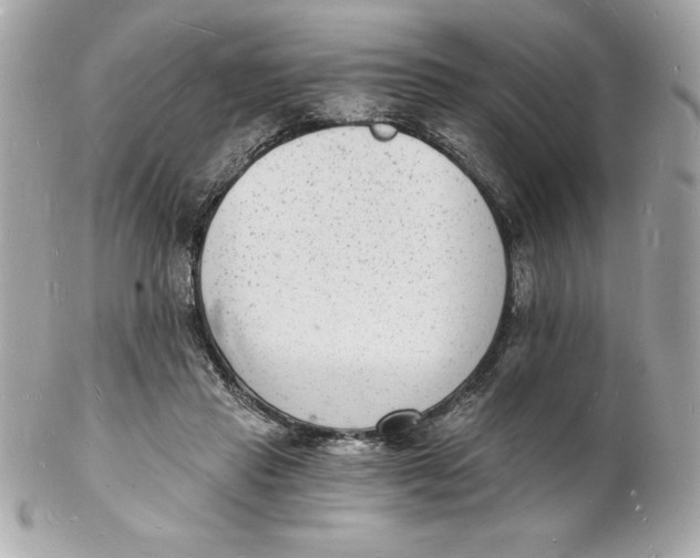 X0000102220453200808151709