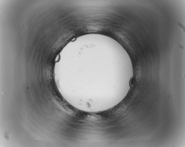 X0000102220455200808151709