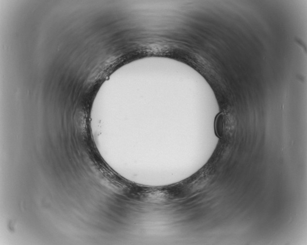 X0000102220456200808151709