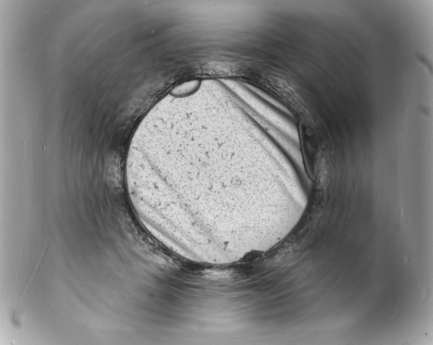 X0000102220457200808151709