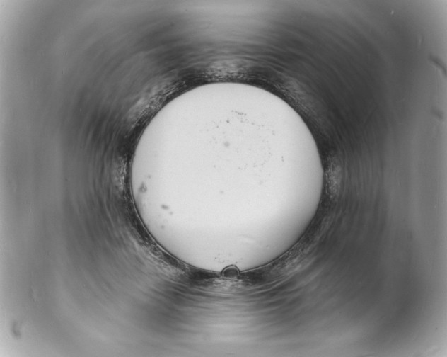 X0000102220458200808151709