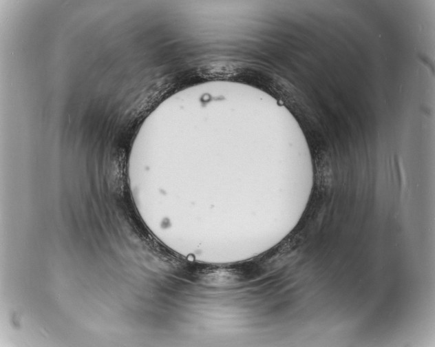 X0000102220460200808151709