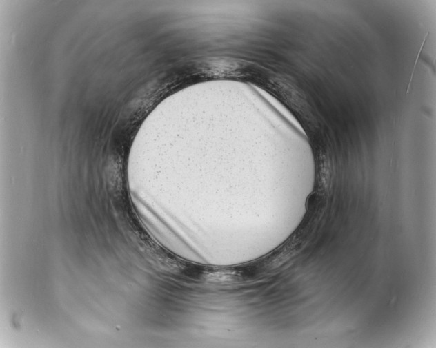 X0000102220461200808151709