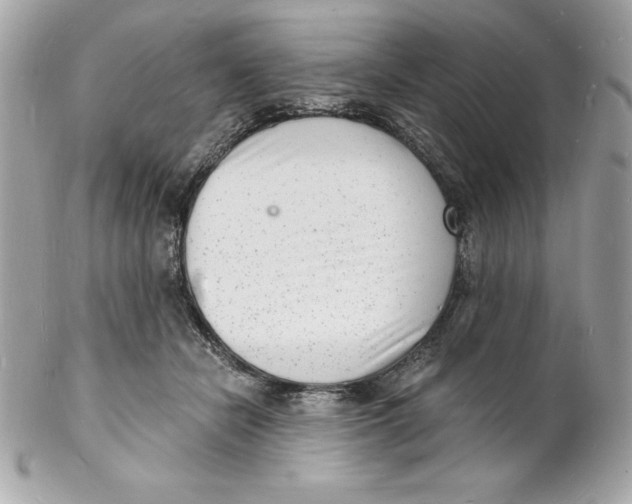 X0000102220462200808151709