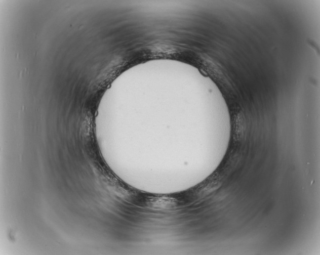 X0000102220463200808151709