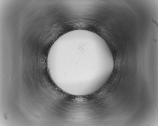 X0000102220464200808151709