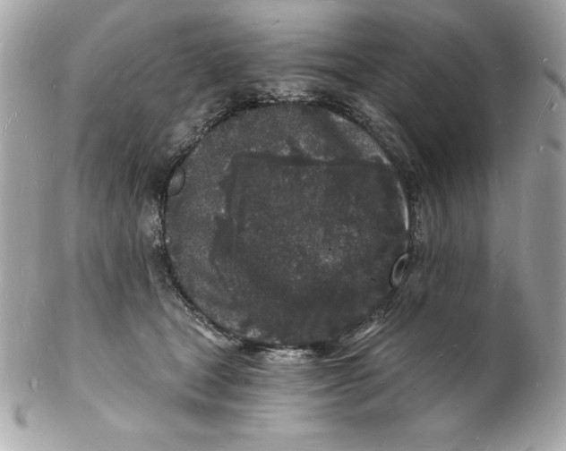 X0000102220465200808151709