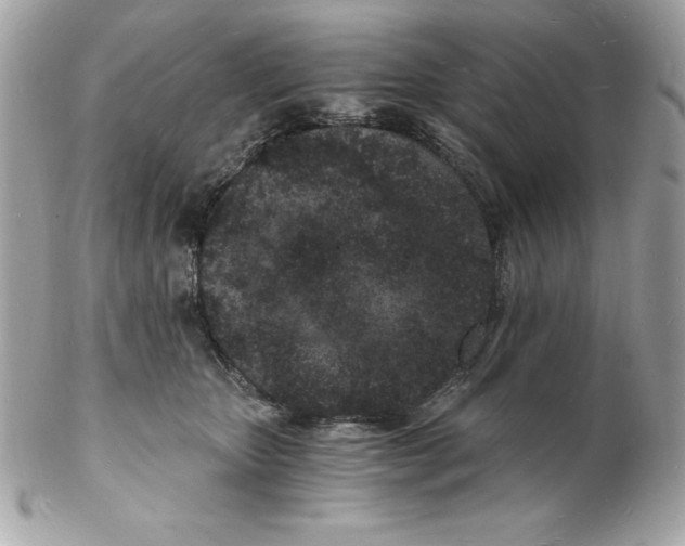 X0000102220467200808151709