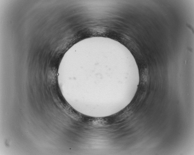 X0000102220468200808151709