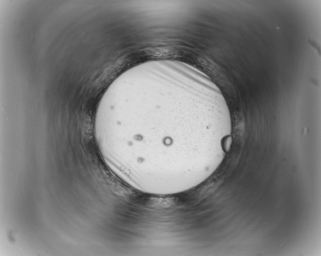 X0000102220469200808151709