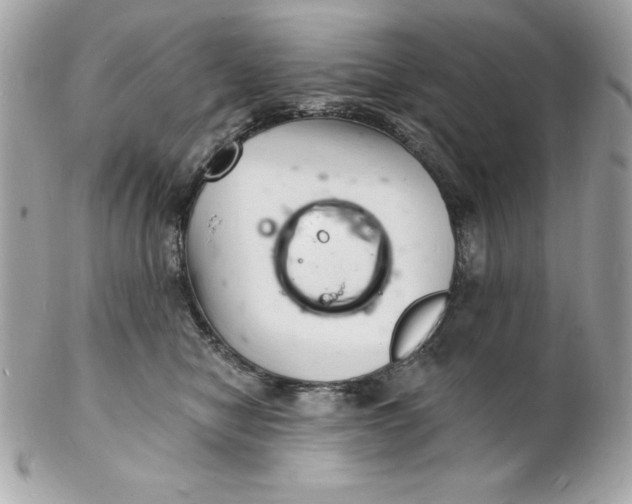 X0000102220470200808151709