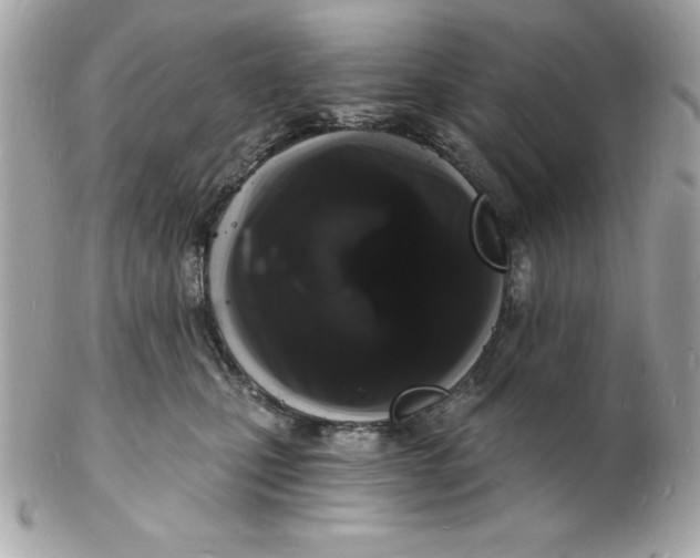 X0000102220471200808151709