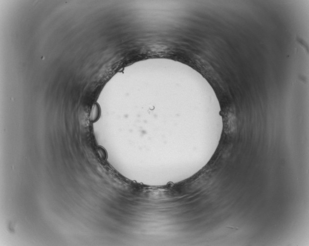 X0000102220472200808151709