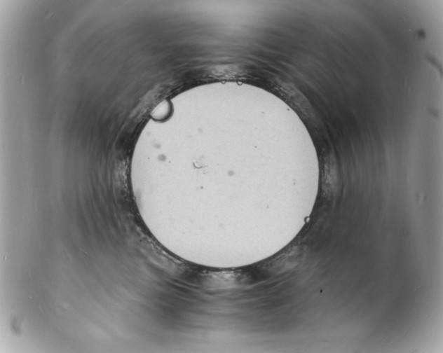 X0000102220473200808151709