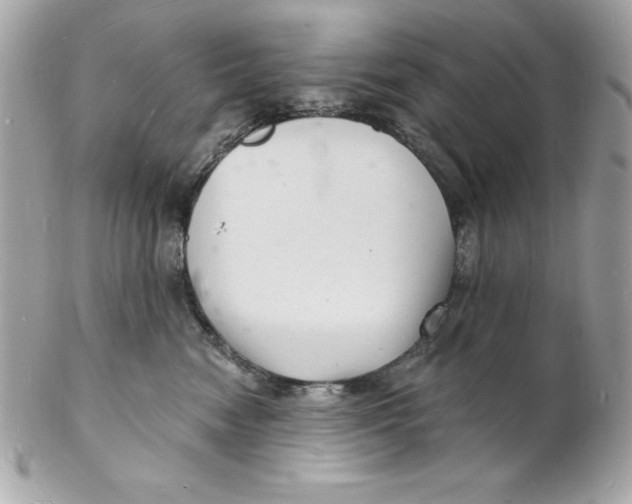 X0000102220474200808151709