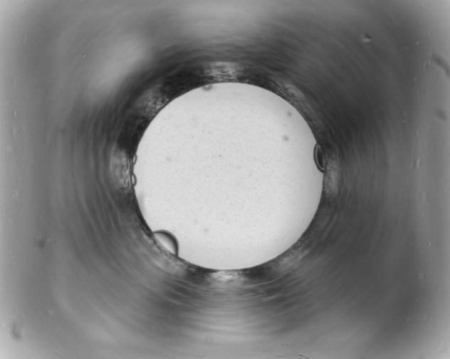 X0000102220477200808151710