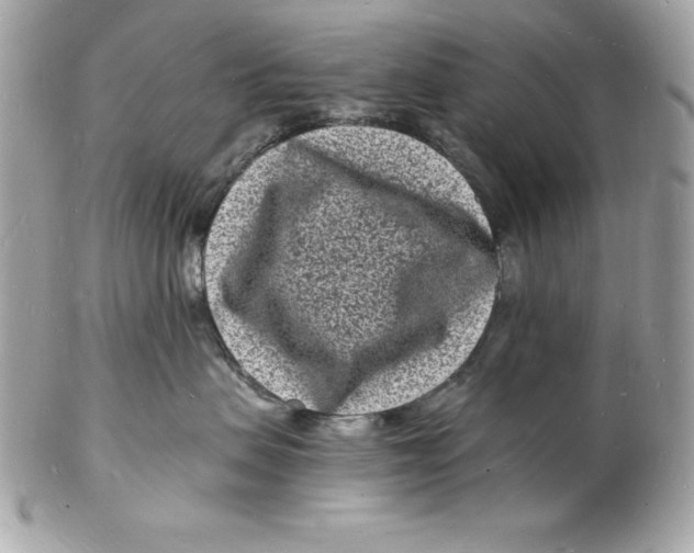 X0000102220479200808151710