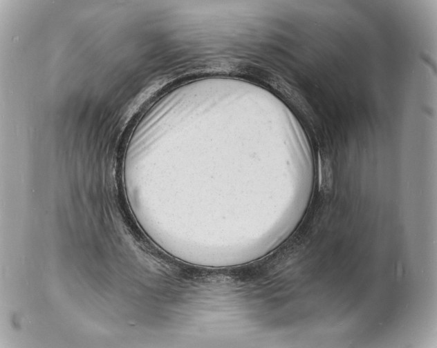 X0000102220483200808151709