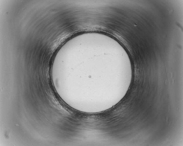 X0000102220485200808151709