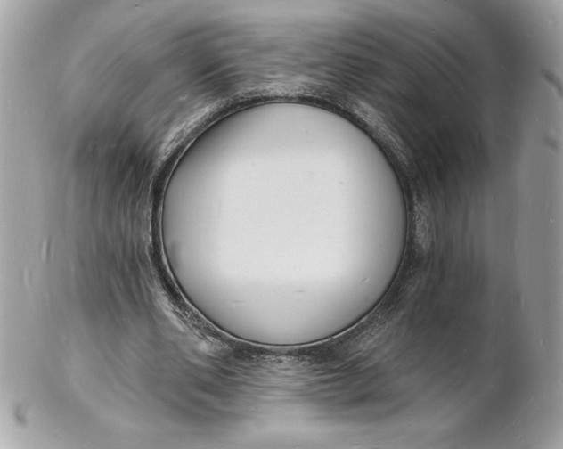 X0000102220486200808151709