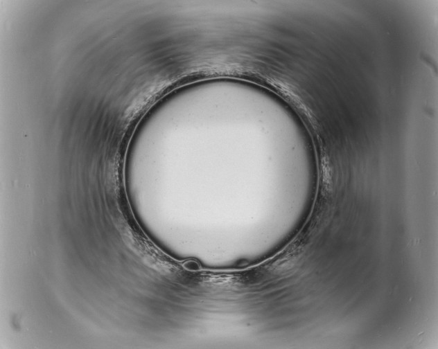 X0000102220487200808151709