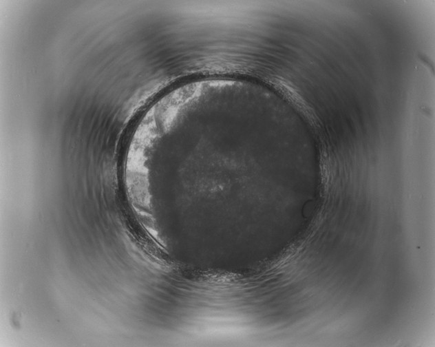 X0000102220488200808151709