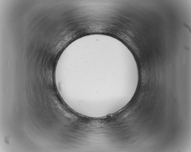 X0000102220489200808151709