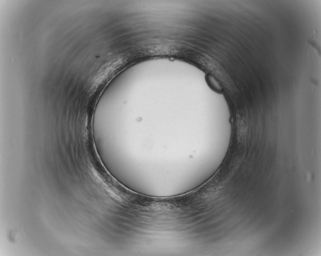 X0000102220490200808151709