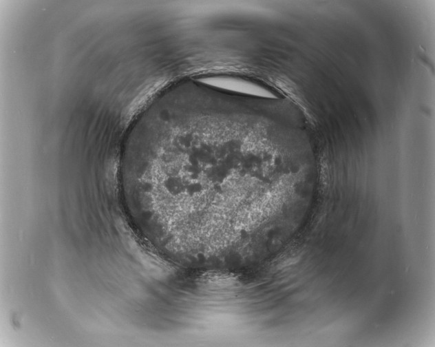 X0000102220491200808151709