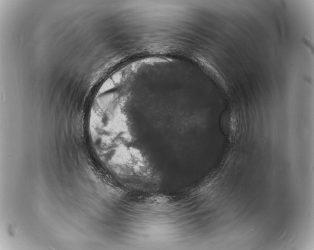 X0000102220492200808151709