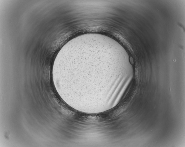 X0000102220493200808151709