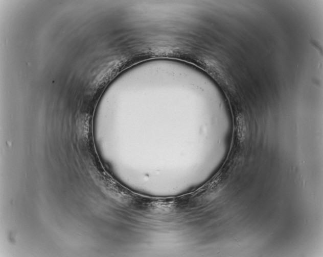 X0000102220495200808151709