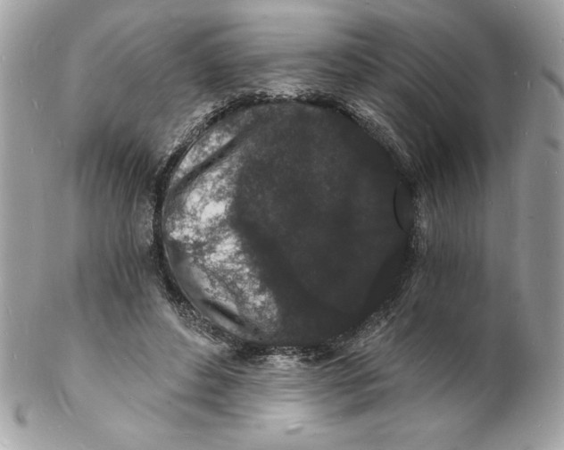 X0000102220496200808151709