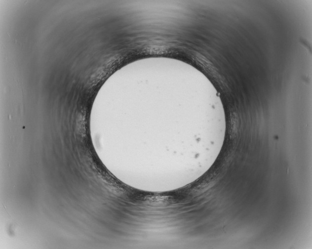 X0000102220497200808151709